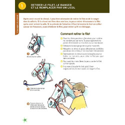 Galopp 1 und 2 Neue Ausgabe Galopp 1 und 2 Neue Ausgabe