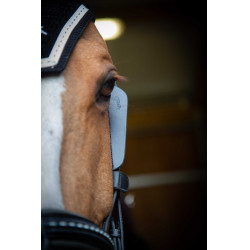 Australische Scheuklappen Pénélope Schwarz