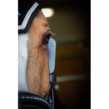 Australische Scheuklappen Pénélope Schwarz