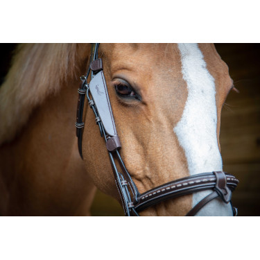 Australische Scheuklappen Pénélope Havanna Braun