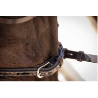 Trensenzaum Pénélope Smoothie Schwarz