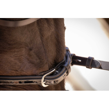 Trensenzaum Pénélope Smoothie Schwarz