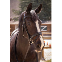 Trensenzaum Pénélope Smoothie Schwarz