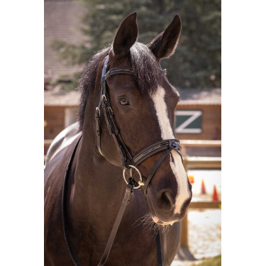 Trensenzaum Pénélope Smoothie Schwarz