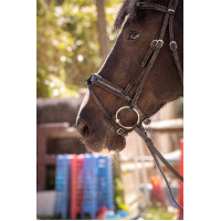 Trensenzaum Pénélope Smoothie Havanna Braun