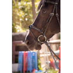 Trensenzaum Pénélope Smoothie Schwarz