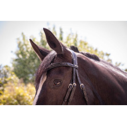 Trensenzaum Pénélope Smoothie Schwarz