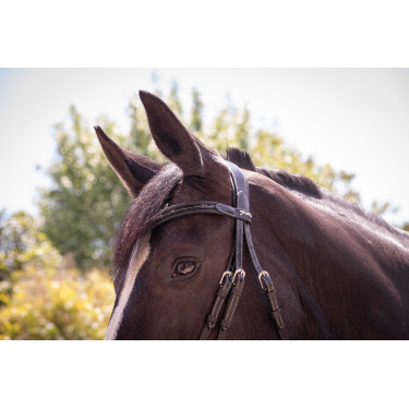 Trensenzaum Pénélope Smoothie Schwarz