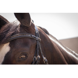 Trensenzaum Pénélope Smoothie Schwarz