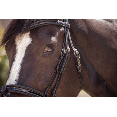 Trensenzaum Pénélope Smoothie Schwarz