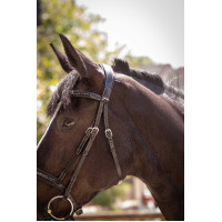 Trensenzaum Pénélope Smoothie Havanna Braun