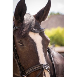 Trensenzaum Pénélope Smoothie Schwarz