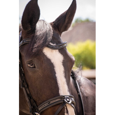 Trensenzaum Pénélope Smoothie Schwarz