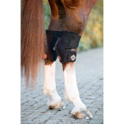 LeMieux Conductive Magno Sprunggelenkschoner LeMieux Conductive Magno Sprunggelenkschoner