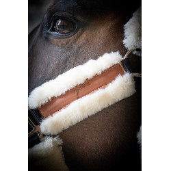 Pénélope Soft Halfter Schwarz / Beige Pénélope Soft Halfter Schwarz / Beige