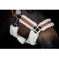 Pénélope Soft Halfter Schwarz / Beige Pénélope Soft Halfter Schwarz / Beige