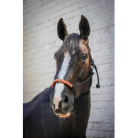 Amerikanisches Ethologisches Halfter Pénélope Schwarz