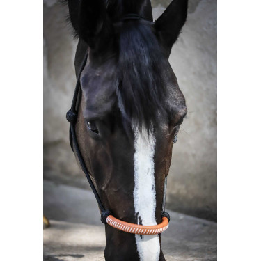 Amerikanisches Ethologisches Halfter Pénélope Schwarz Amerikanisches Ethologisches Halfter Pénélope Schwarz