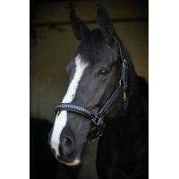 Lederhalfter Pénélope Point Sellier Schwarz