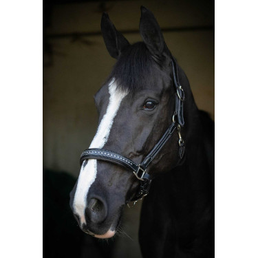 Lederhalfter Pénélope Point Sellier Schwarz