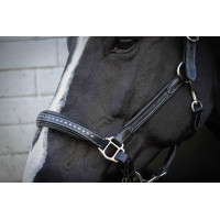 Lederhalfter Pénélope Point Sellier Schwarz