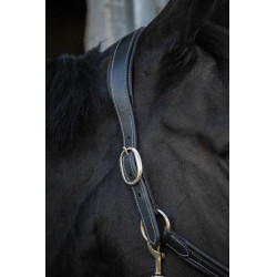 Lederhalfter Pénélope Point Sellier Schwarz