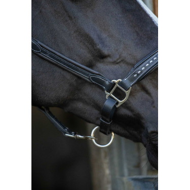 Lederhalfter Pénélope Point Sellier Schwarz