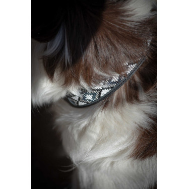 Hundehalsband Pénélope Pearl Schwarz / Weiß Hundehalsband Pénélope Pearl Schwarz / Weiß
