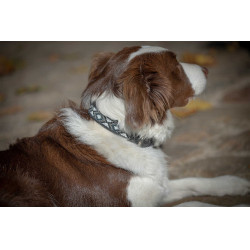 Hundehalsband Pénélope Pearl Schwarz / Weiß Hundehalsband Pénélope Pearl Schwarz / Weiß