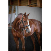 Trensenzaum Pénélope Daily Havanna Braun Trensenzaum Pénélope Daily Havanna Braun