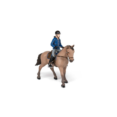 Ausrittpferd und sein Reiter Papo