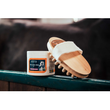 Massagebürste aus Buchenholz Borstiq