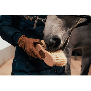 Borstenbürste Borstiq Infini Cactus