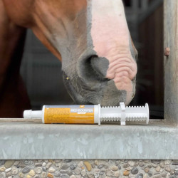 Ergänzungsfuttermittel LPC Red Booster Flash