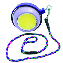 Salzleckstein-Spiel Boredom Buster Likit Violett Lila