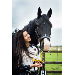 Likit Stud Muffins Leckereien Likit Stud Muffins Leckereien