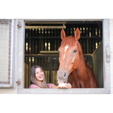 Leckstein Little Likit