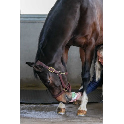 Leckstein Little Likit