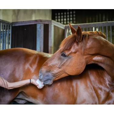 Leckstein Little Likit