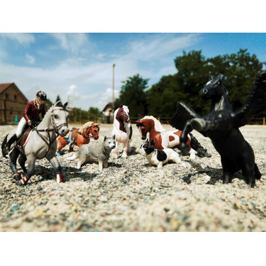 Wettkampfpferd und seine Reiterin Papo