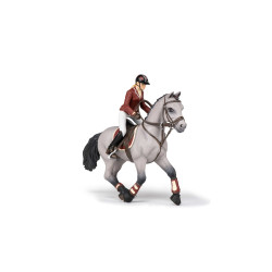 Wettkampfpferd und seine Reiterin Papo