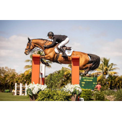 Racer® Tradition Handschuhe Schwarz