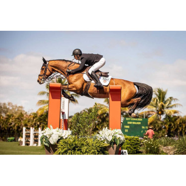 Racer® Tradition Handschuhe Schwarz