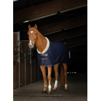 Mesh-Hemd Equithème Teddy Marineblau Mesh-Hemd Equithème Teddy Marineblau