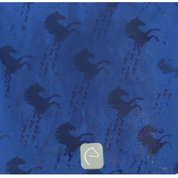 Softshell Equi-Kids Amandine Marineblau Softshell Equi-Kids Amandine Marineblau