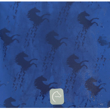 Softshell Equi-Kids Amandine Marineblau Softshell Equi-Kids Amandine Marineblau