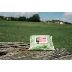 Easy Shine Wipe Ravene Reinigungstücher