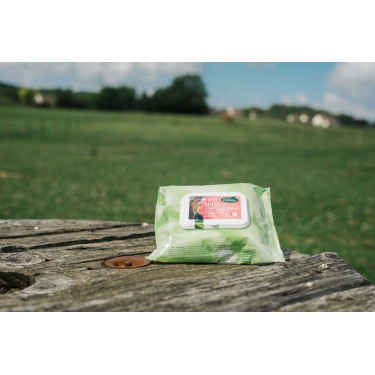 Easy Shine Wipe Ravene Reinigungstücher