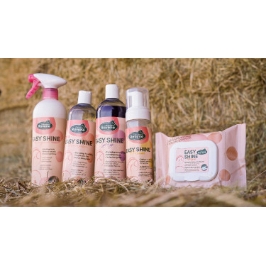 Easy Shine Wipe Ravene Reinigungstücher