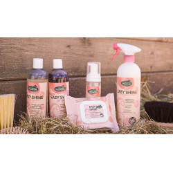 Easy Shine Wipe Ravene Reinigungstücher